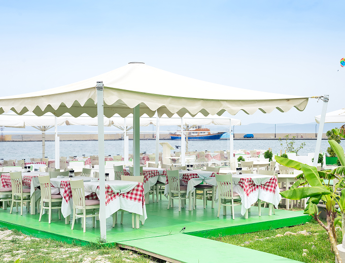 A green and white umbrella opened against a clear sky, showcasing its vibrant colors and elegant design.