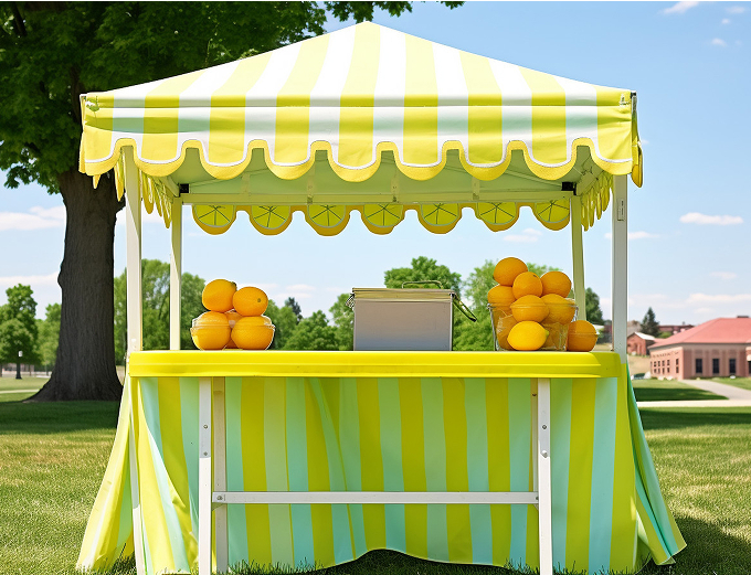 A charming lemonade stand featuring a table and chairs, inviting customers to enjoy refreshing drinks on a sunny day.