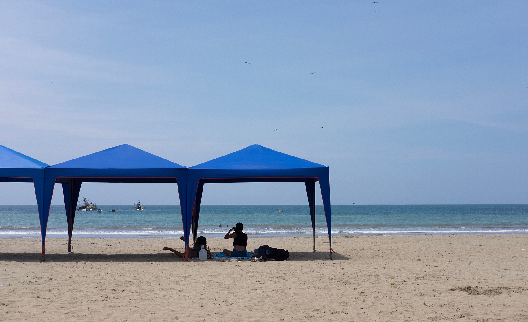 Brown sand stretches across the beach, creating a warm and inviting landscape under a clear blue sky.