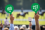 Auction Paddles