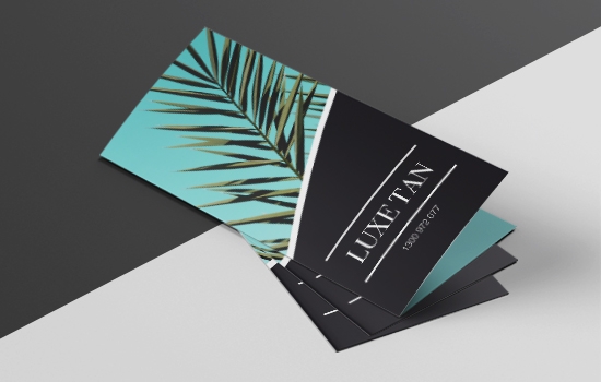 DL Brochures