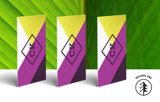 Paper Stock 