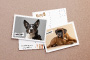 Full Color Postcards with Lamination