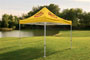 10ft x 10ft Tent with Canopy