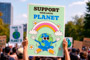 Rally Signs