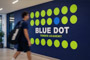 Wall Stickers, Printed Murals and Graphics
