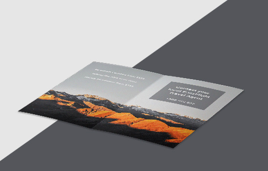 5.5 inch W x 8.5 inch H Brochures