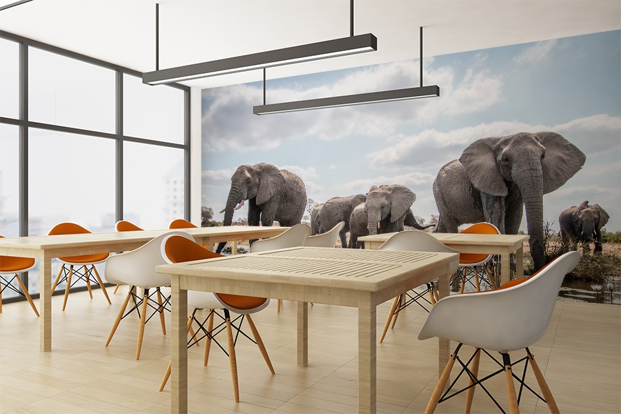 New PhotoTex™ wall sticker material can be self installed, removed and re-used!